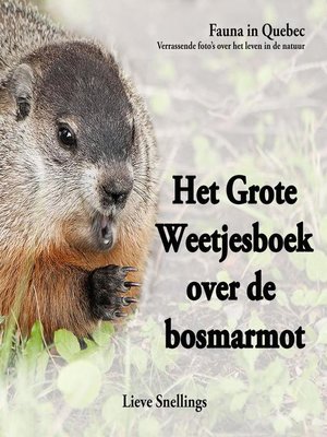 cover image of Het Grote Weetjesboek over de Bosmarmot